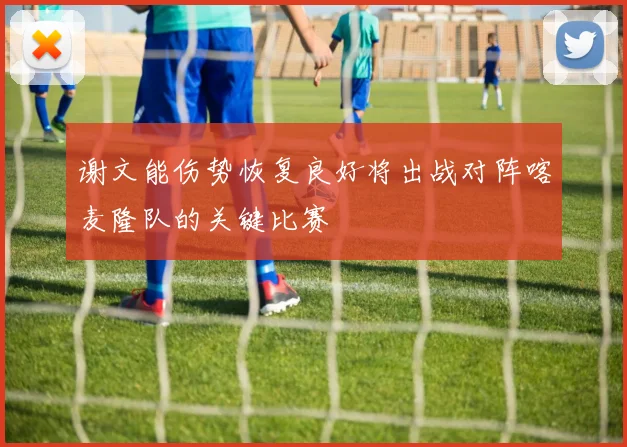 谢文能伤势恢复良好将出战对阵喀麦隆队的关键比赛