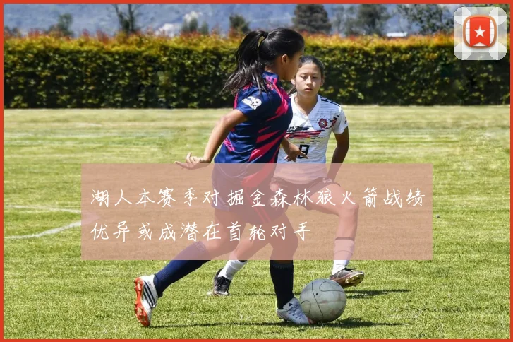 湖人本赛季对掘金森林狼火箭战绩优异或成潜在首轮对手
