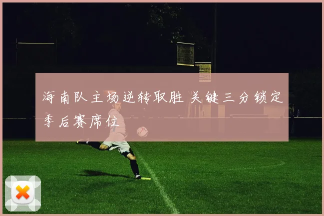 海南队主场逆转取胜 关键三分锁定季后赛席位